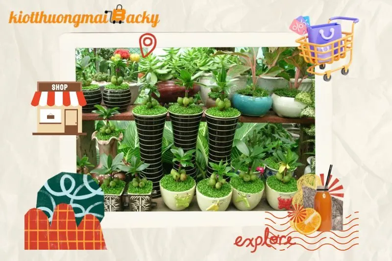 Khám Phá Top 7 Địa Chỉ Bán Cây Cảnh Bắc Ninh