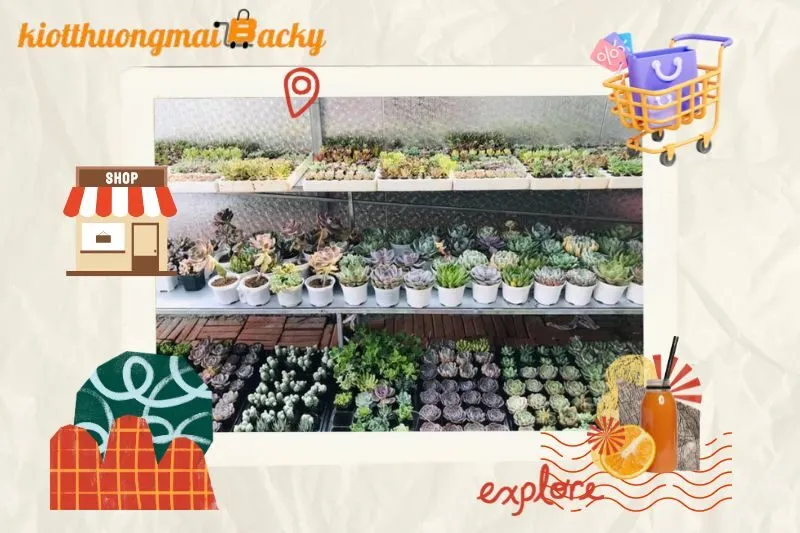 Tiny Garden